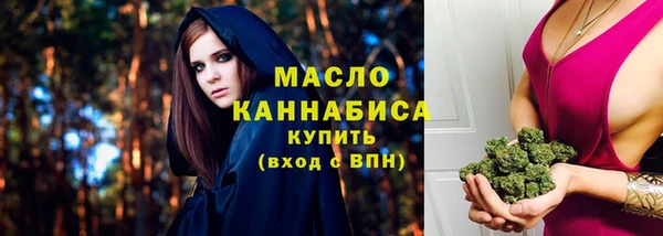 мет Елабуга