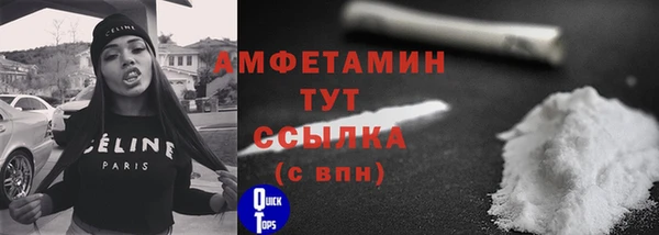 мет Елабуга