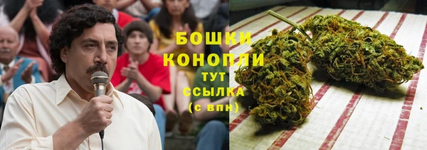 прущий лед Ельня