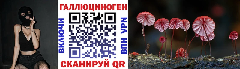 Галлюциногенные грибы Psilocybe Ростов