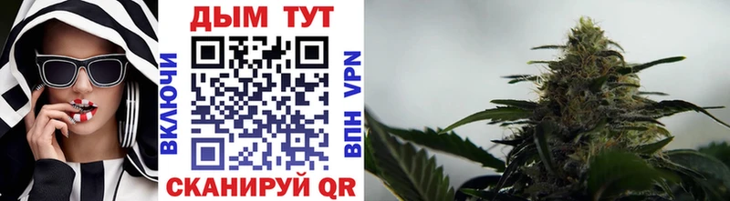 Конопля Ganja  Ростов 
